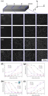 Fabrication, Microstructure and Properties of Nickel/Epoxy Resin Functionally Graded Materials With Magnetic-Field-Driving Method